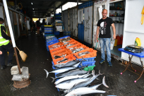  بمناسبة العيد - تخفيضات على الأسماك لدى الريس ابراهيم سوري في ميناء يافا 